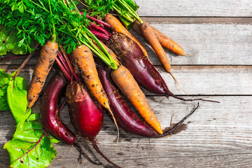 fresh harvested carrots and beetroots on rustic wooden backgroun