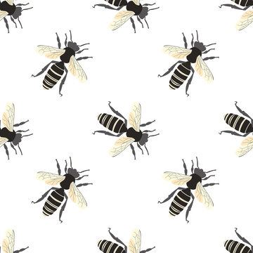 Bee pattern seamless background