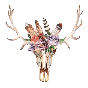 Watercolor isolated deer's head with flowers and feathers on white background. Boho style. Skull for wrapping, wallpaper, t-shirts, textile, posters, cards, prints