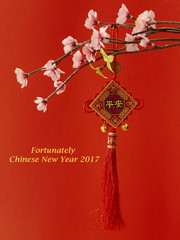 Lucky Chinese new year