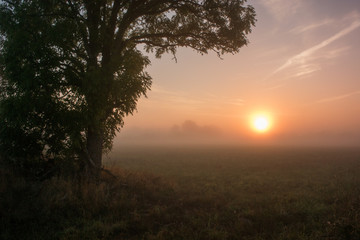 Fototapeta na wymiar Hazy morning landscape at dawn