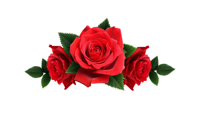 Red rose flowers arrangement