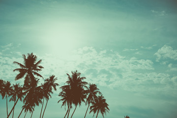 Fototapeta premium Palm trees on tropical beach, vintage toned and retro color stylized