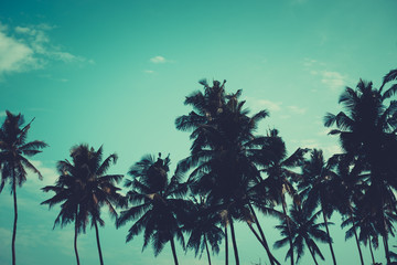 Naklejka premium Palm trees on tropical beach, vintage toned and retro color stylized