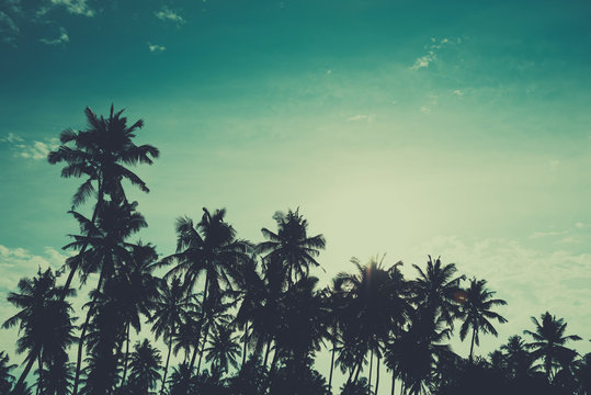 Palm trees on tropical beach, vintage toned and retro color stylized
