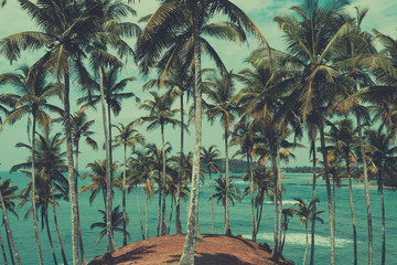 Naklejka premium Palm trees on tropical coast, view above the ocean, vintage toned and retro color stylized