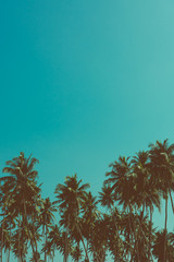 Obraz premium Palm trees on tropical beach, vintage toned and retro color stylized