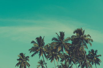 Fototapeta na wymiar Palm trees on tropical beach, vintage toned and retro color stylized