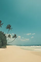Foto op Plexiglas Strand en zee Retro color stylized empty tropical beach with palm trees