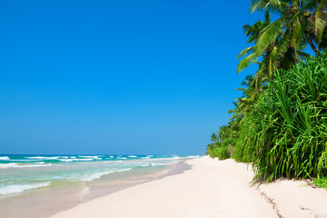 Long tropical beach