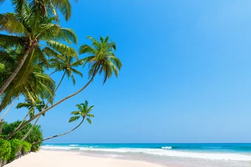Crédence de cuisine en verre imprimé Plage et mer Plage tropicale avec cocotiers. Sable blanc idyllique de l& 39 océan propre et ciel bleu clair et journée d& 39 été ensoleillée