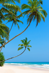 Fototapeta na wymiar Idyllic empty tropical beach with clean white ocean sand and palm trees over the water