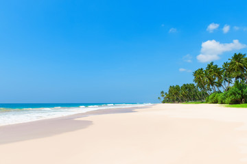Clean empty tropical beach