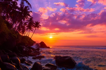Poster Palmbomen aan tropische kust bij zonsondergang © nevodka.com