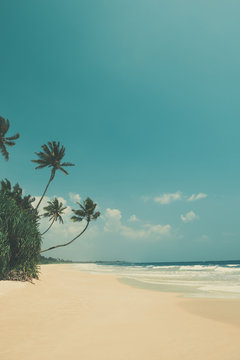 Fototapeta Retro color stylized empty tropical beach with palm trees