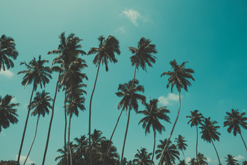Fototapeta premium Palm trees on tropical ocean beach, vintage toned and retro color stylized