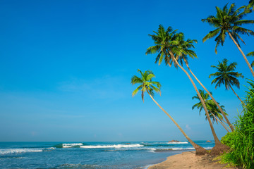 Obraz premium Tropical palm trees on ocean beach at day light time