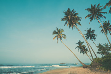 Naklejka premium Tropical beach with palm trees, vintage color stylized