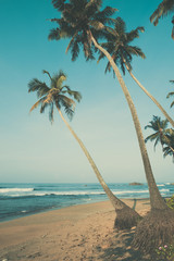 Tropical beach with palm trees, vintage color stylized