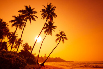 Naklejka na ściany i meble Sunset on tropical beach