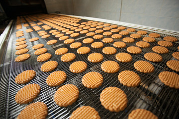 Production line of baking cookies