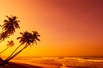 Fototapeta na wymiar Sunset on tropical beach