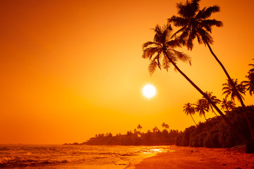 Sunset on tropical beach - obrazy, fototapety, plakaty