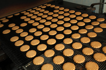 Production line of baking cookies