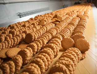 Production line of baking cookies