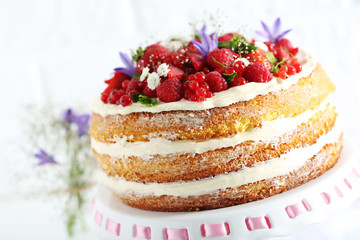 Delicious biscuit cake with berries on cake stand