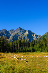 High Tatra mountains in lesser Poland at summer © nevodka.com