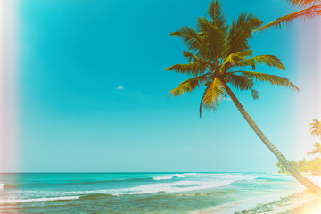 Fototapeta na wymiar Palm tree on tropical ocean beach at sunny day vintage film stylized
