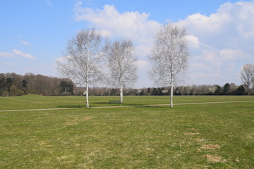 Park