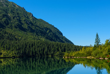 Fototapeta na wymiar Lake in high mountains with pine forest