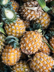 Pineapples close up shot