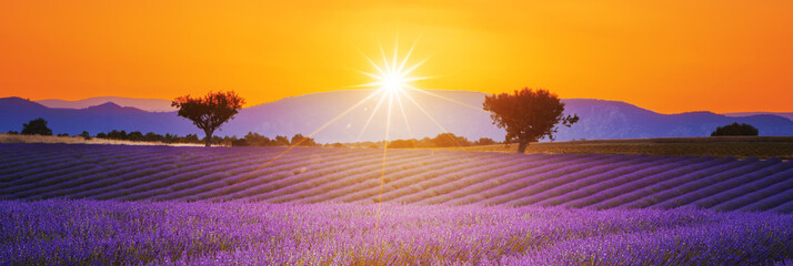 Panele Szklane  Lawendowe pole letni krajobraz o zachodzie słońca