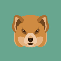 mongoose head face  vector illustration style Flat