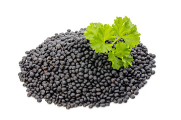 Lentin beluga. Black Lentins.Isolated on the white background.