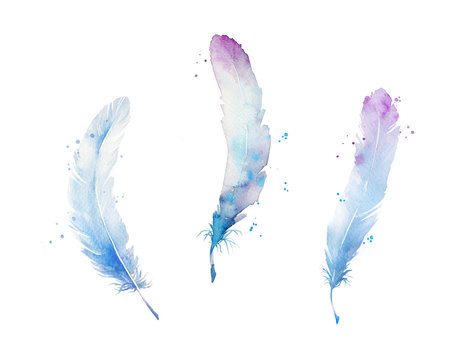 Set of watercolor feathers, hand painted