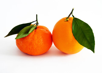 en yeni portakal ve mandalina birlikte resimler