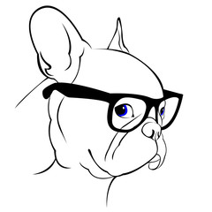 dog vector breed cute pet animal bulldog