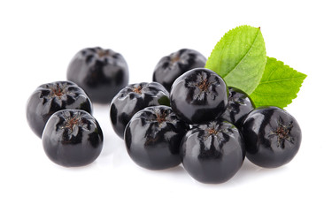 Chokeberry with leaf