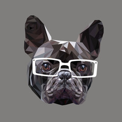 dog vector breed cute pet animal bulldog