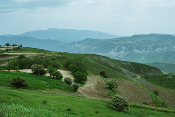 Green hills and plowed fields, countryside Cyprus