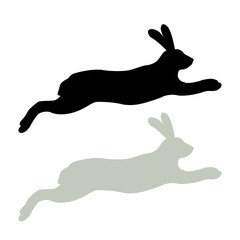 hare vector illustration Flat Style set © wectorcolor