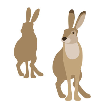 hare vector illustration Flat Style set