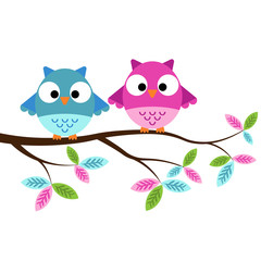 Obraz premium Dwie sowy siedzące na gałęzi