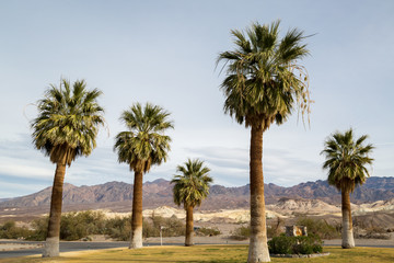 Fototapeta premium Death Valley National Park in California. 