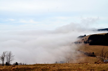 Fototapeta na wymiar Nebelschwaden im Schwarzwald