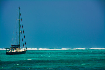 Obraz premium Inside the reef in Belize